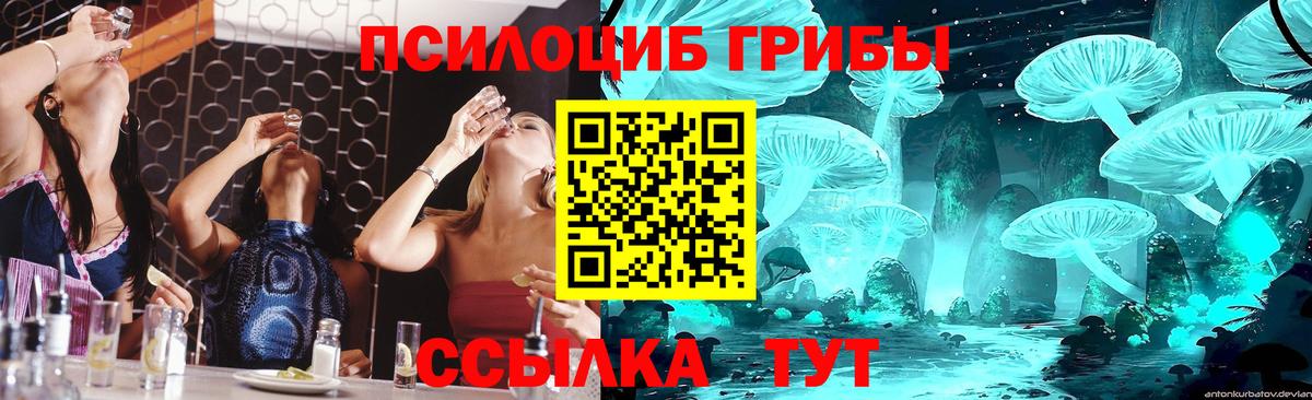 Псилоцибиновые грибы прущие грибы Горно-Алтайск